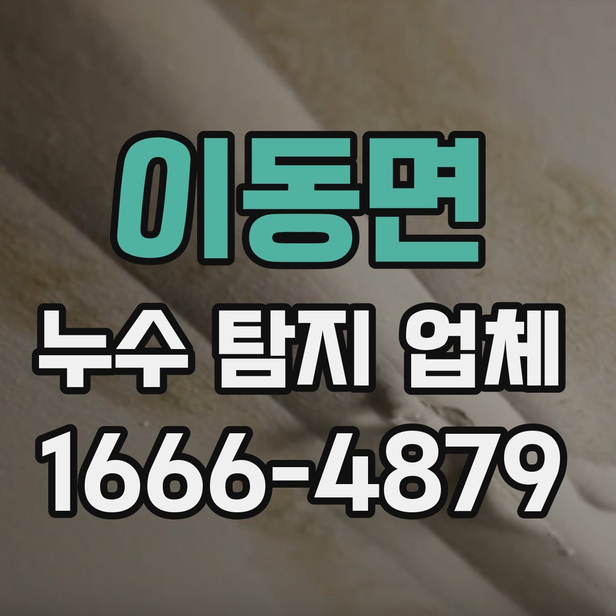 이동면 누수 탐지 업체