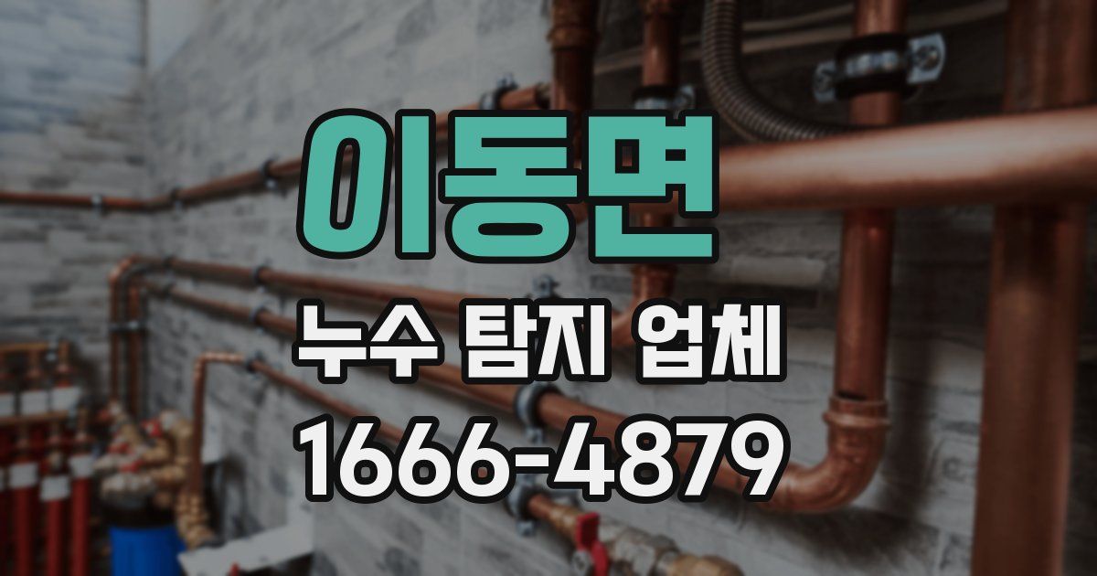 이동면 누수 탐지 업체