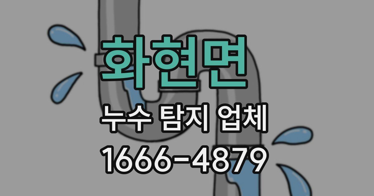 화현면 누수 탐지 업체