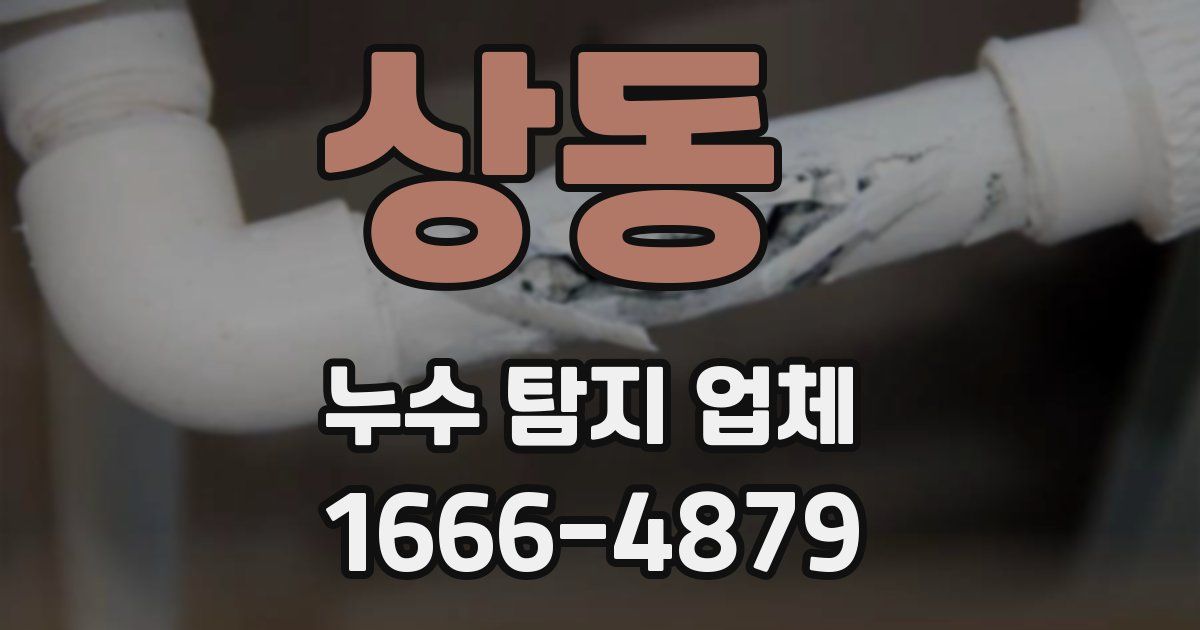 상동 누수 탐지 업체