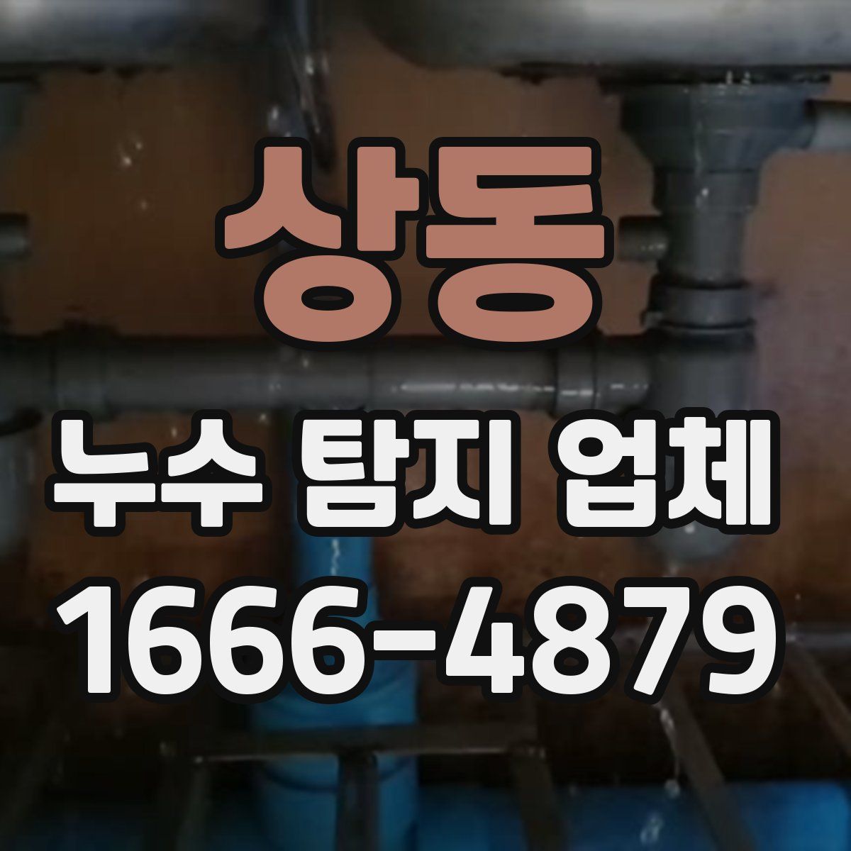 상동 누수 탐지 업체