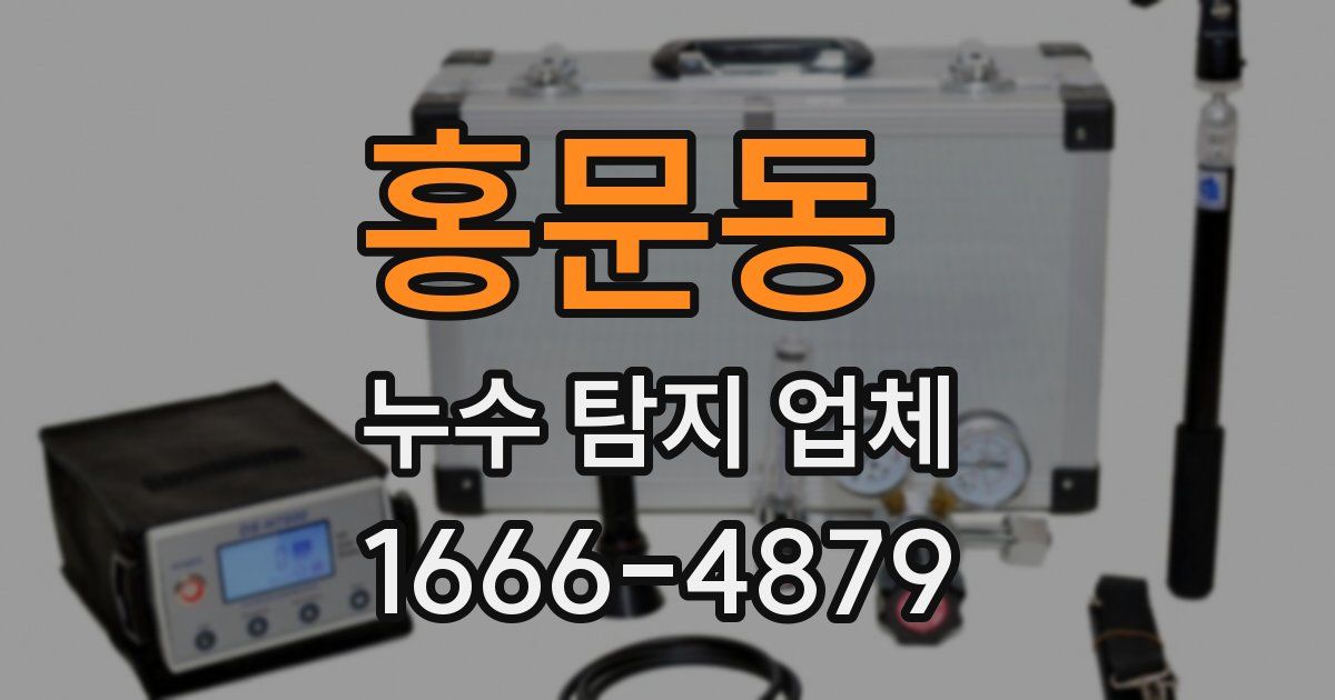 홍문동 누수 탐지 업체