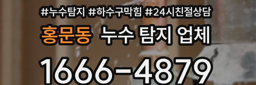 홍문동 누수 탐지 업체