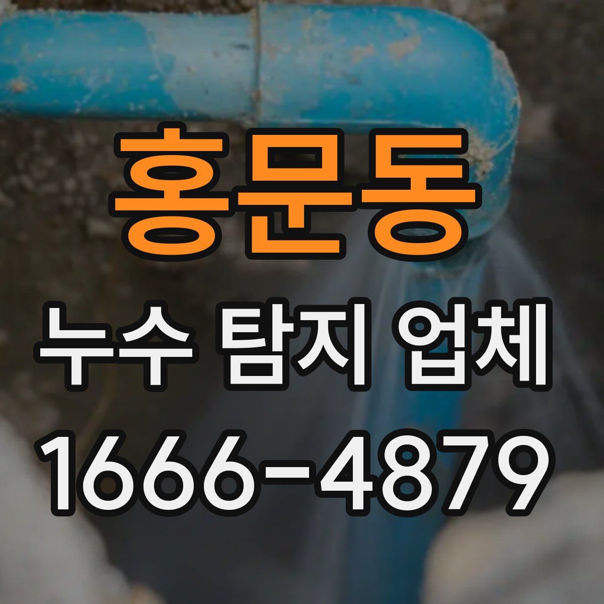 홍문동 누수 탐지 업체