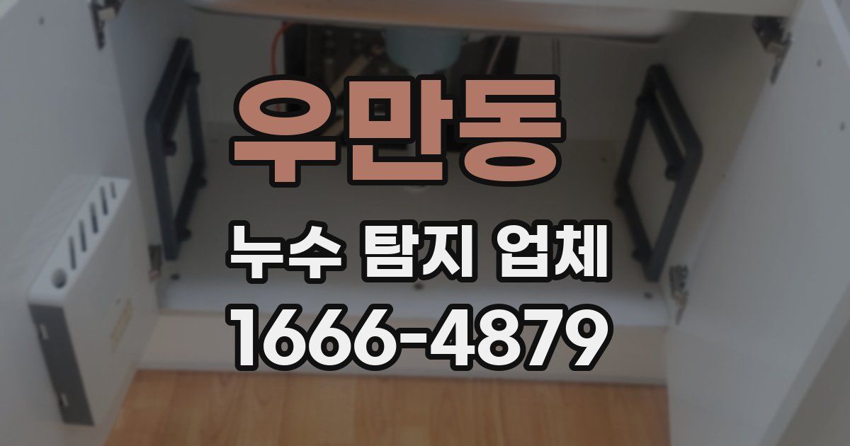 우만동 누수 탐지 업체