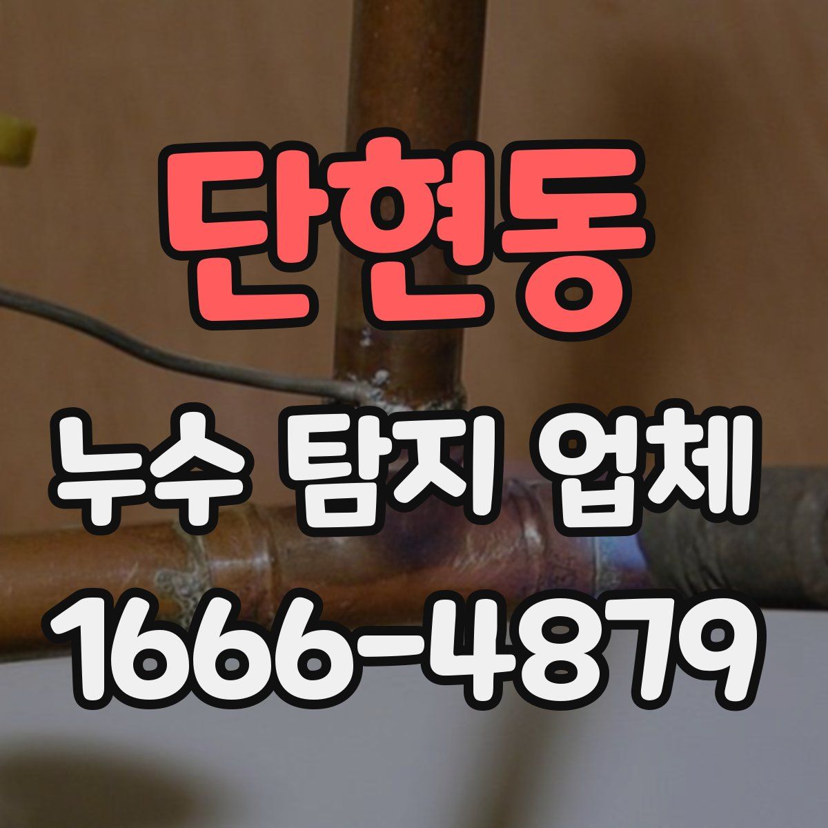 단현동 누수 탐지 업체