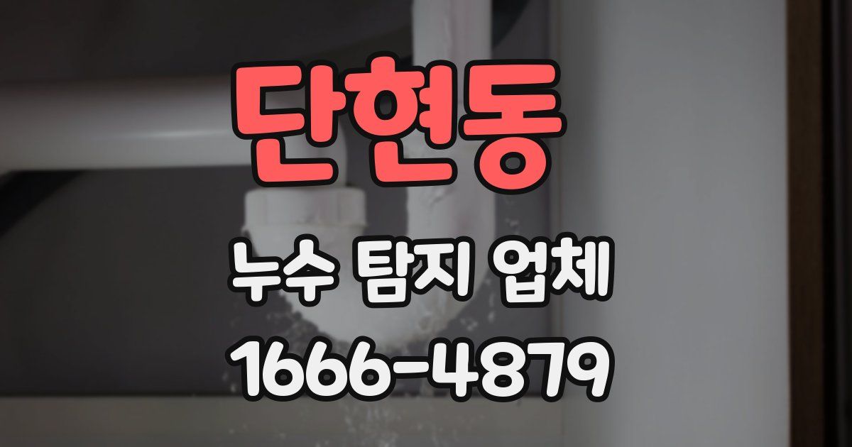 단현동 누수 탐지 업체