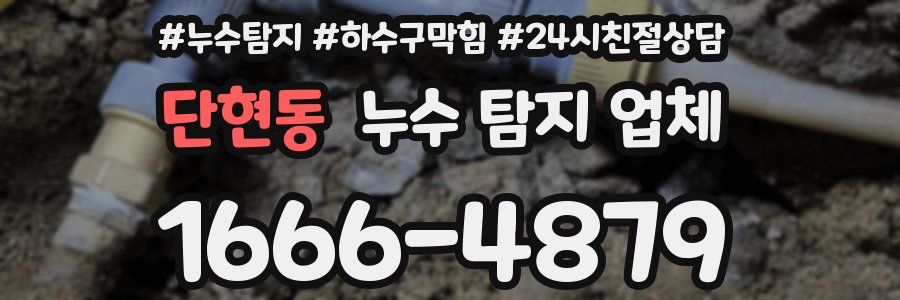 단현동 누수 탐지 업체