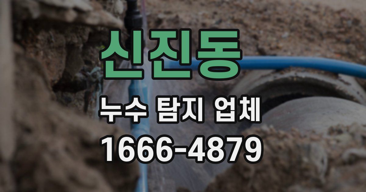 신진동 누수 탐지 업체