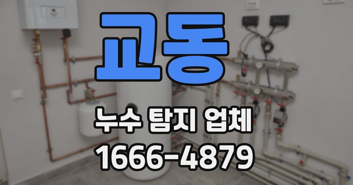 교동 누수 탐지 업체