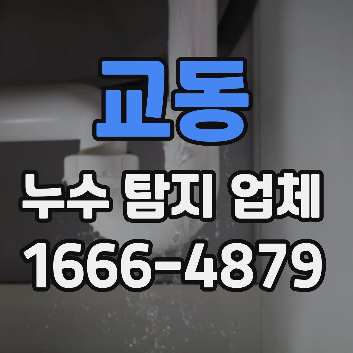 교동 누수 탐지 업체