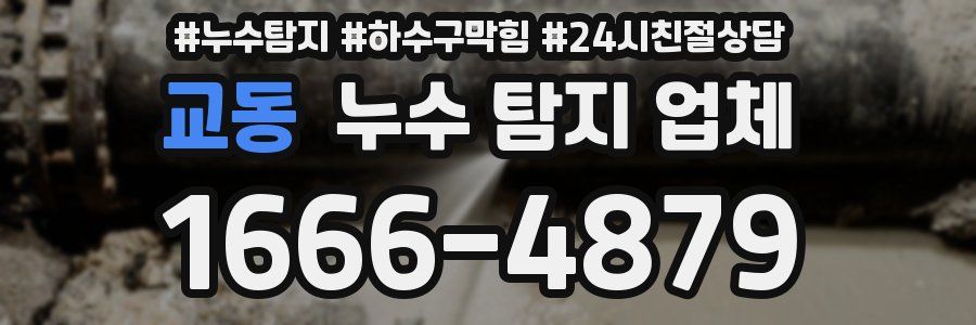교동 누수 탐지 업체