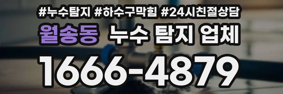 월송동 누수 탐지 업체