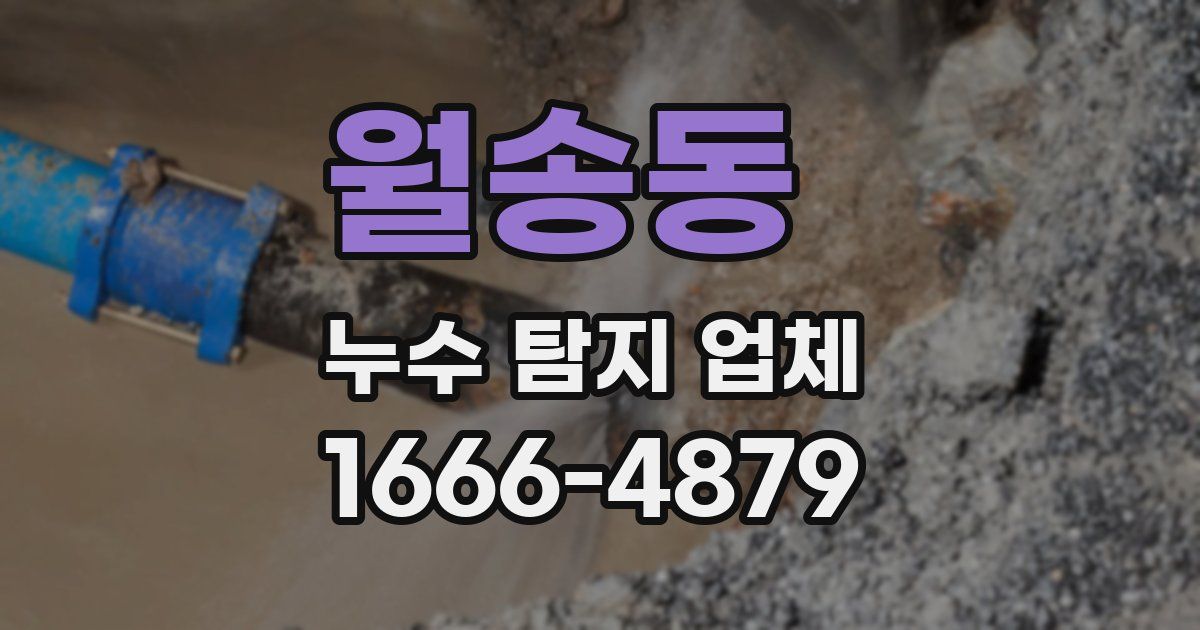 월송동 누수 탐지 업체