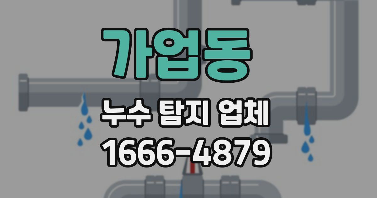 가업동 누수 탐지 업체