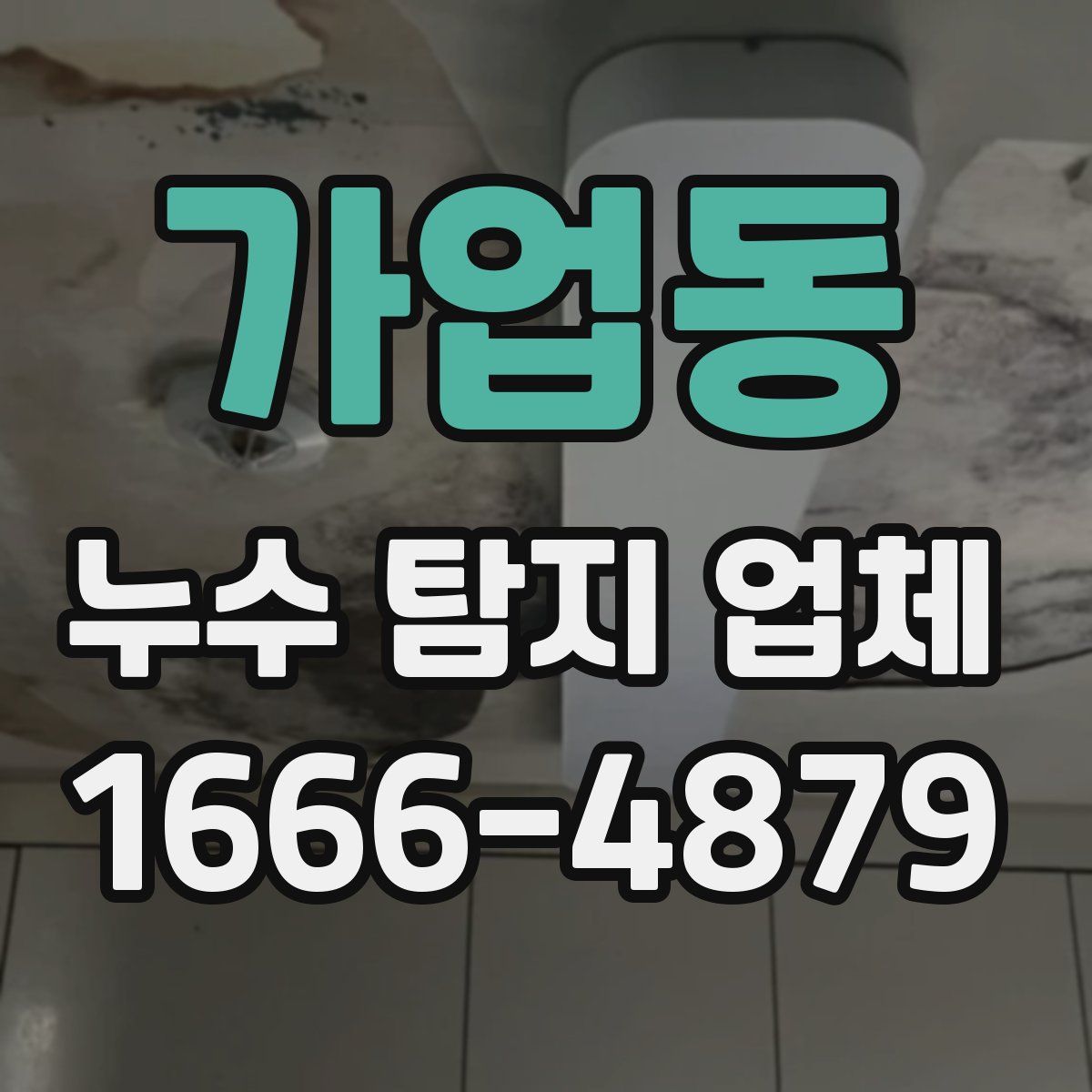 가업동 누수 탐지 업체