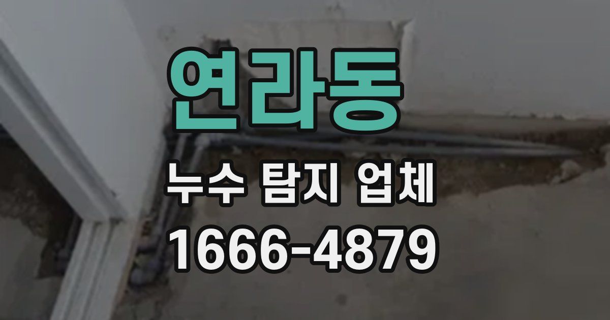 연라동 누수 탐지 업체