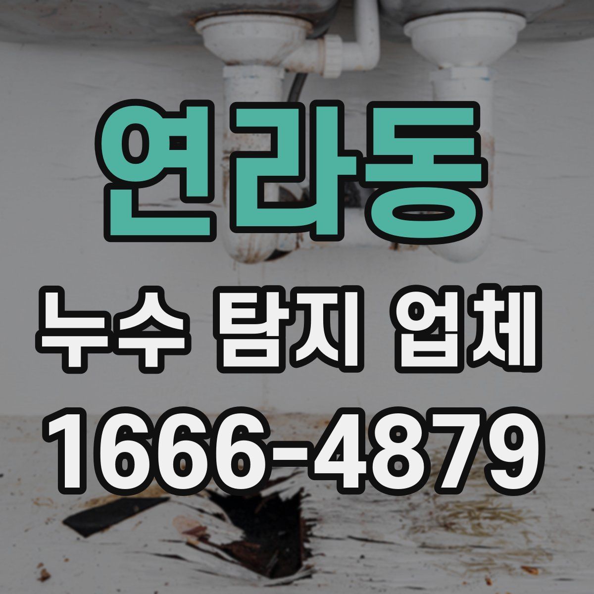 연라동 누수 탐지 업체