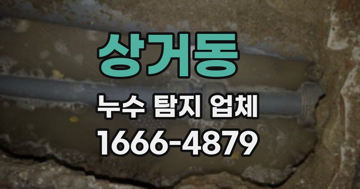 상거동 누수 탐지 업체