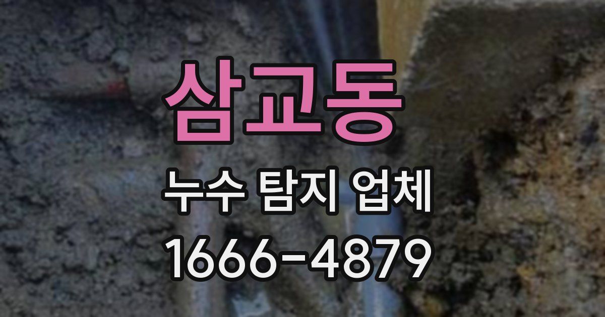 삼교동 누수 탐지 업체