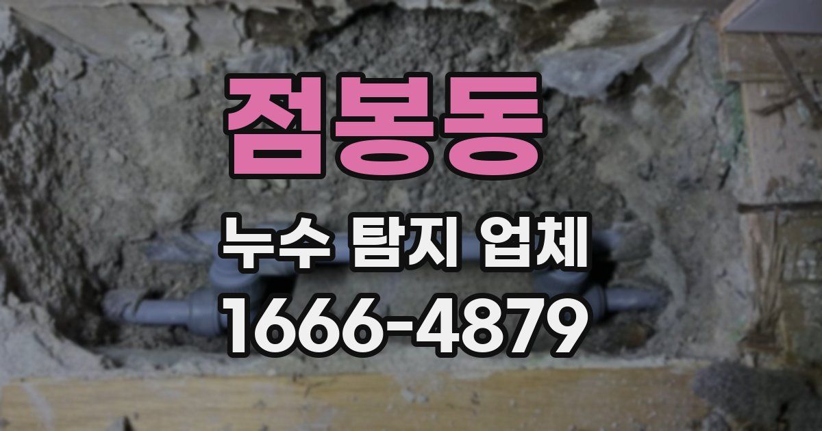 점봉동 누수 탐지 업체