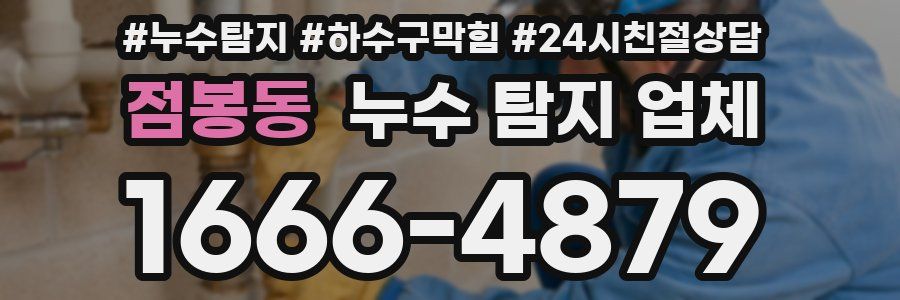 점봉동 누수 탐지 업체