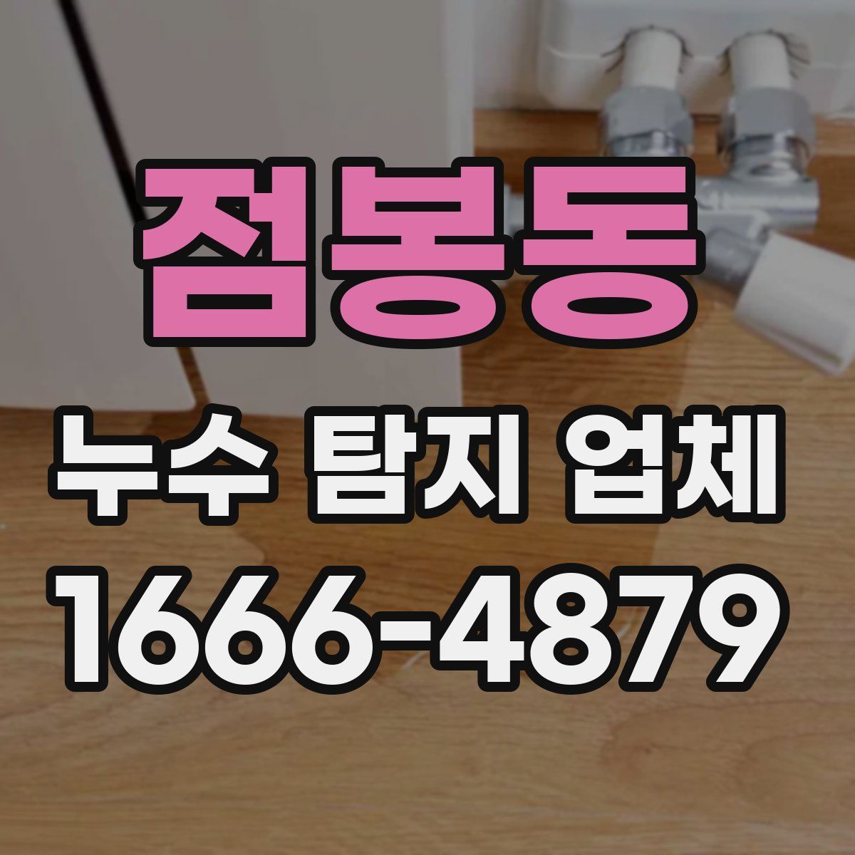 점봉동 누수 탐지 업체
