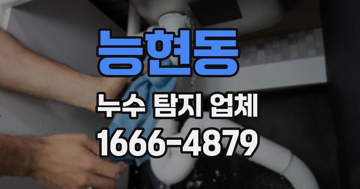 능현동 누수 탐지 업체