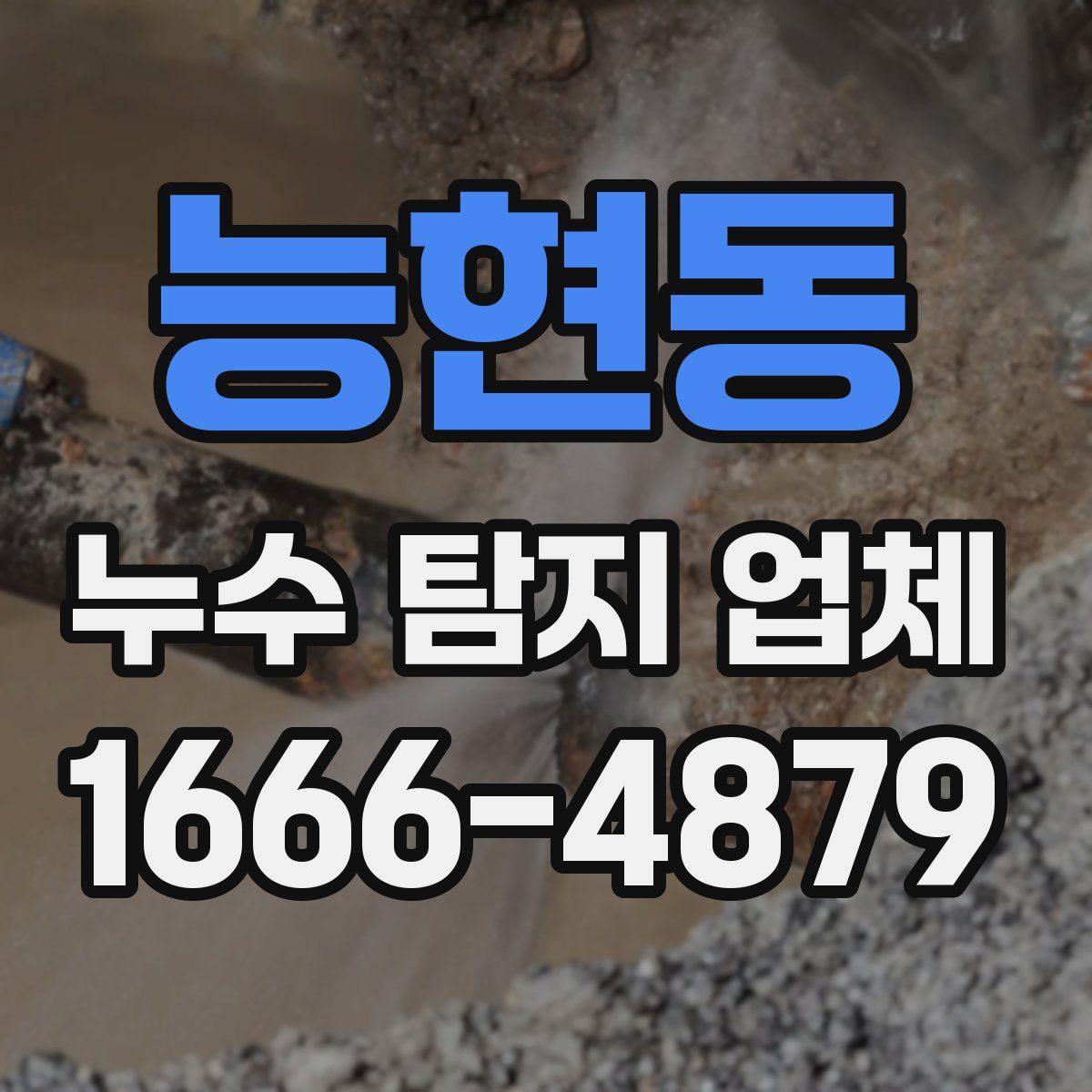 능현동 누수 탐지 업체