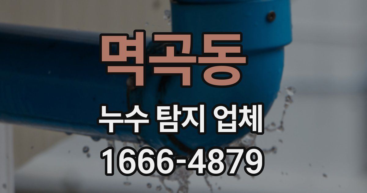 멱곡동 누수 탐지 업체