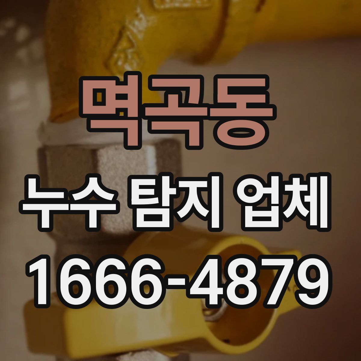 멱곡동 누수 탐지 업체
