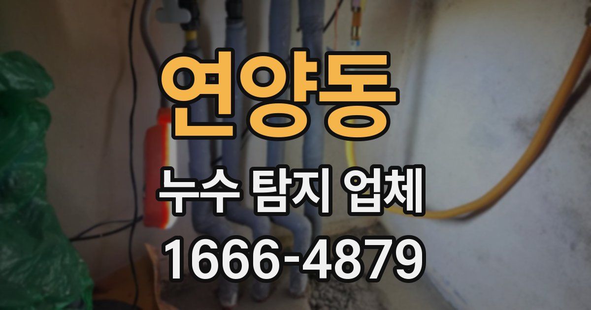 연양동 누수 탐지 업체