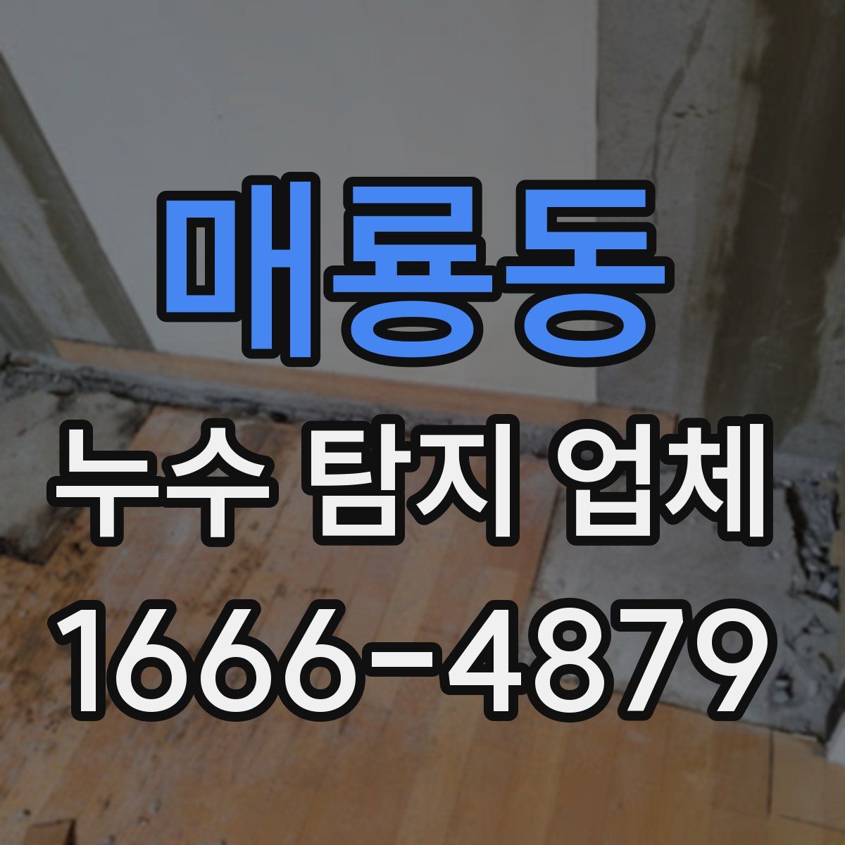 매룡동 누수 탐지 업체