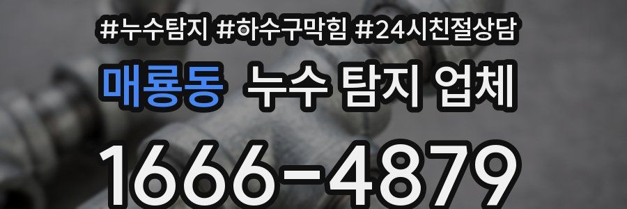 매룡동 누수 탐지 업체