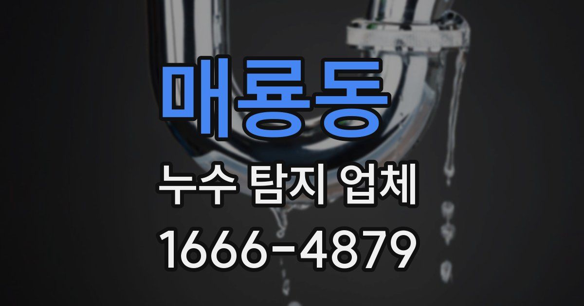 매룡동 누수 탐지 업체