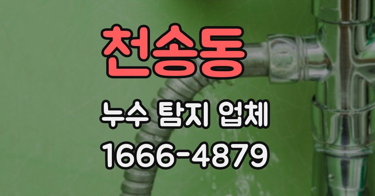 천송동 누수 탐지 업체