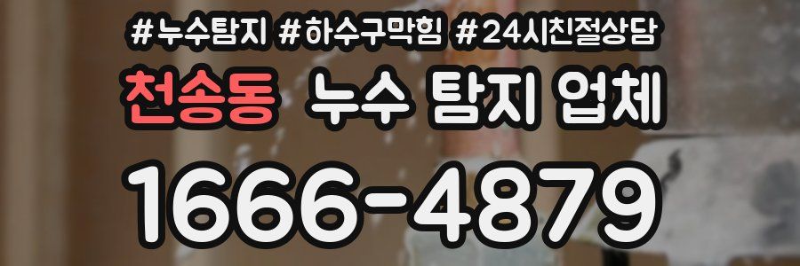천송동 누수 탐지 업체
