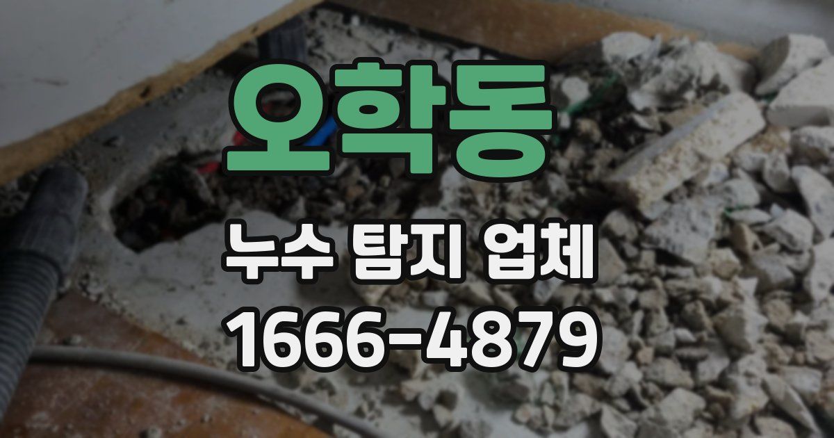 오학동 누수 탐지 업체