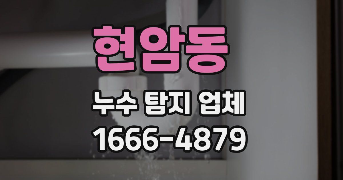 현암동 누수 탐지 업체