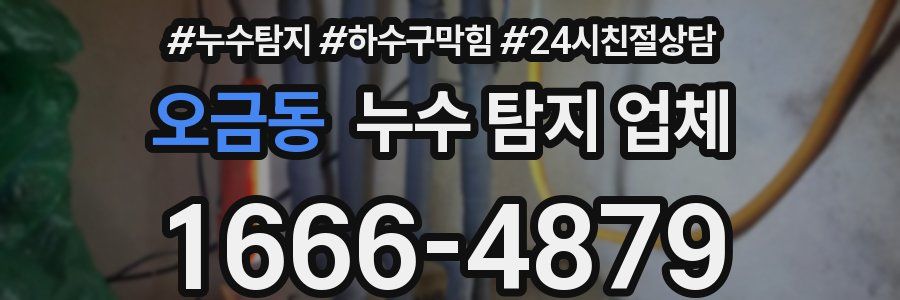 오금동 누수 탐지 업체