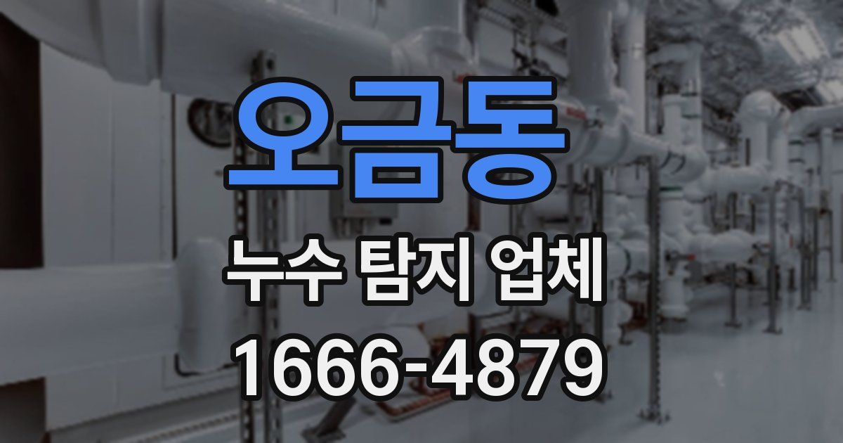 오금동 누수 탐지 업체