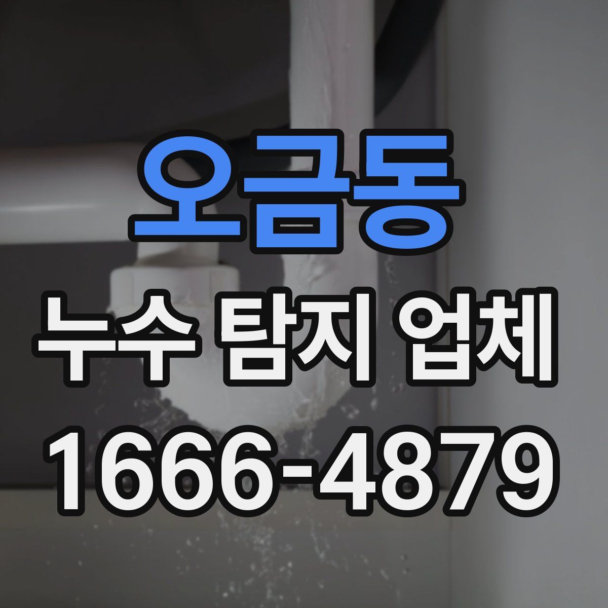 오금동 누수 탐지 업체