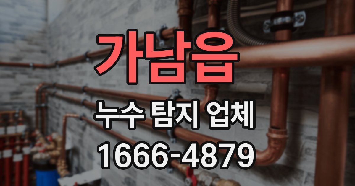 가남읍 누수 탐지 업체