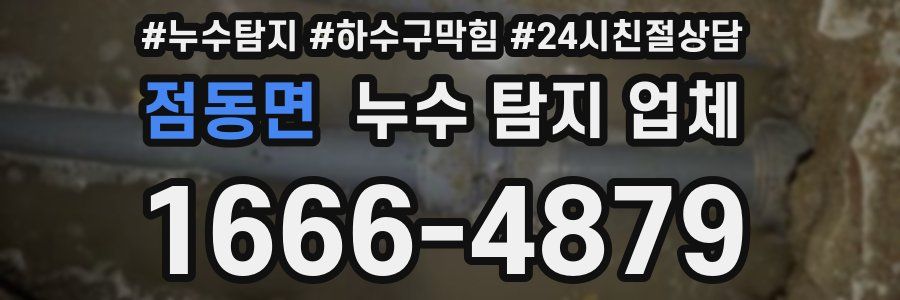 점동면 누수 탐지 업체