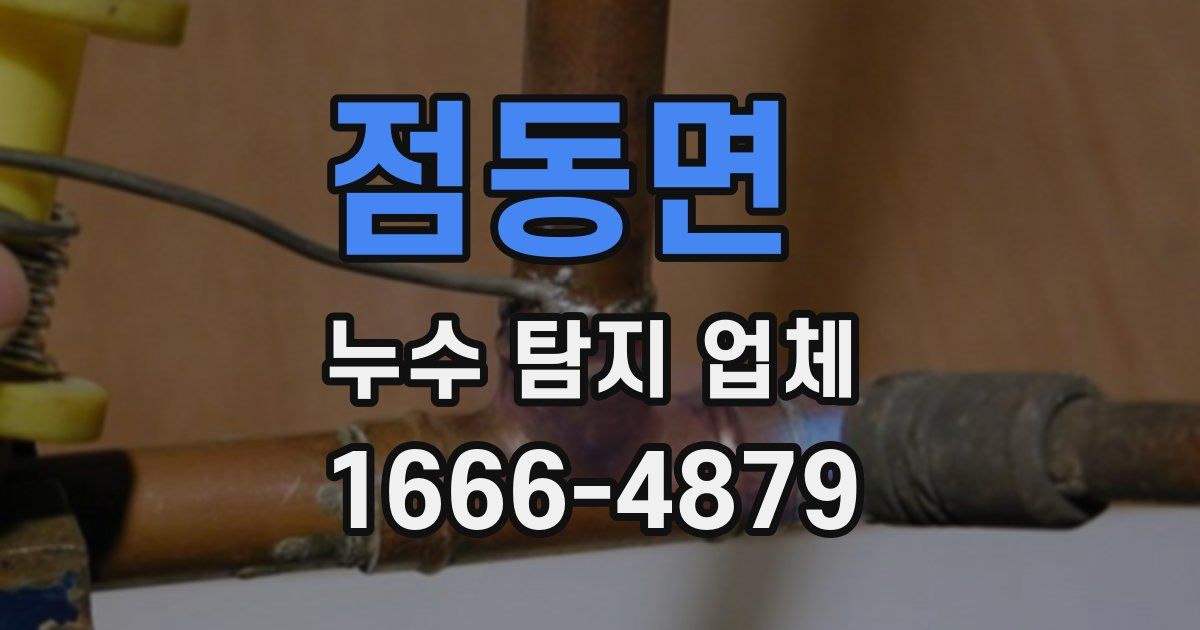 점동면 누수 탐지 업체