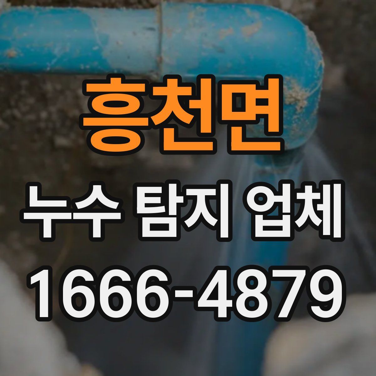 흥천면 누수 탐지 업체