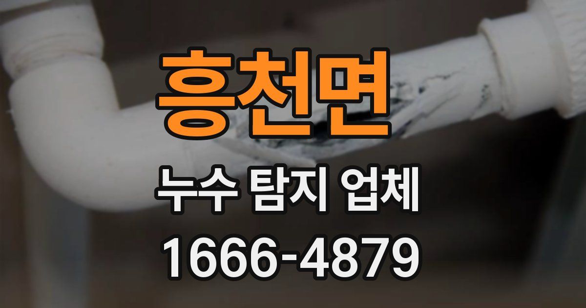흥천면 누수 탐지 업체