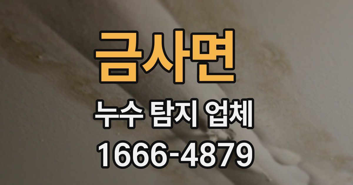금사면 누수 탐지 업체