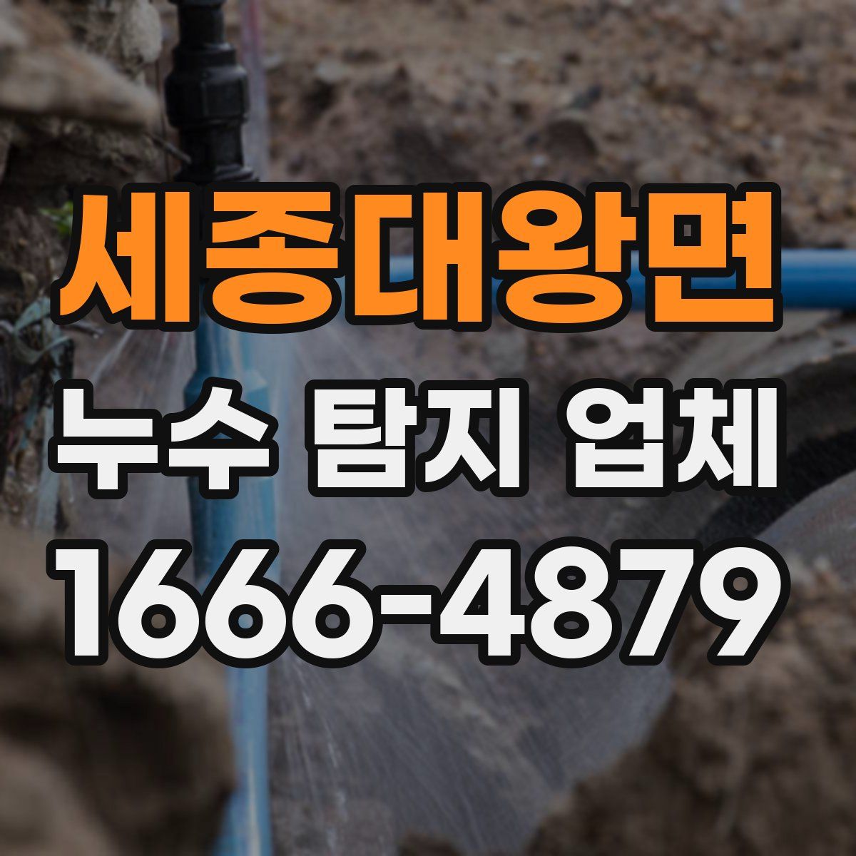 세종대왕면 누수 탐지 업체