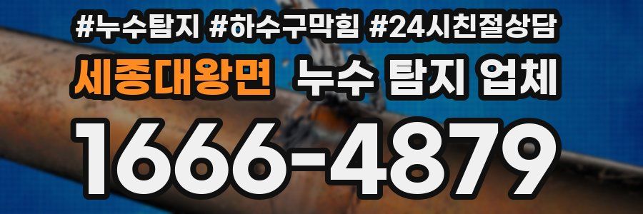 세종대왕면 누수 탐지 업체